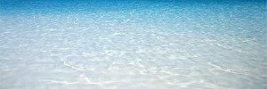 biscayne75's profile banner image
