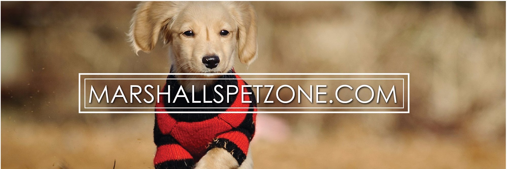 MarshallPetZone's profile banner image