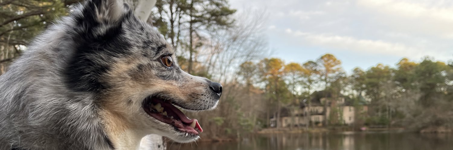 FinalCutStudio's profile banner image