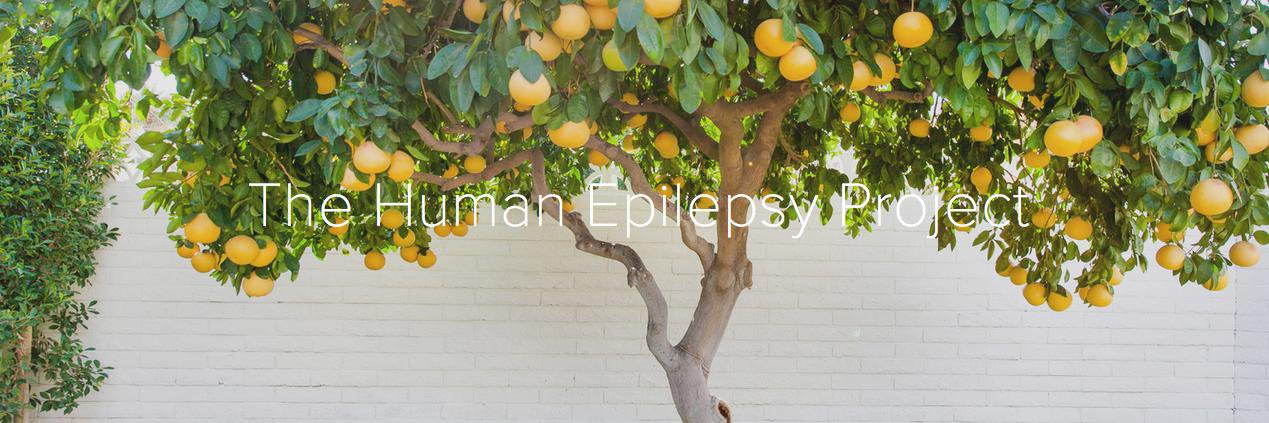 H_Epilepsy_P's profile banner image