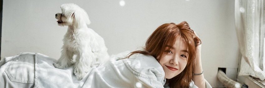 devminah's profile banner image