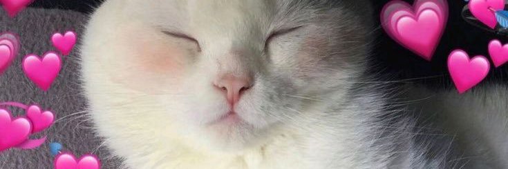 pmeow065's profile banner image