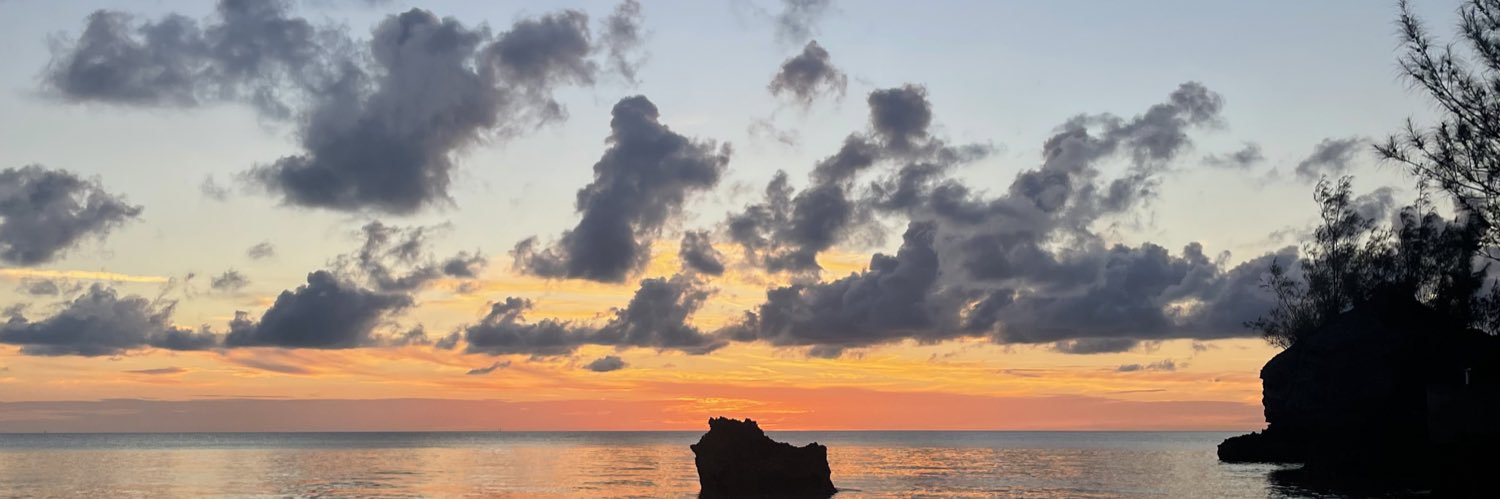 bevturnerr's profile banner image