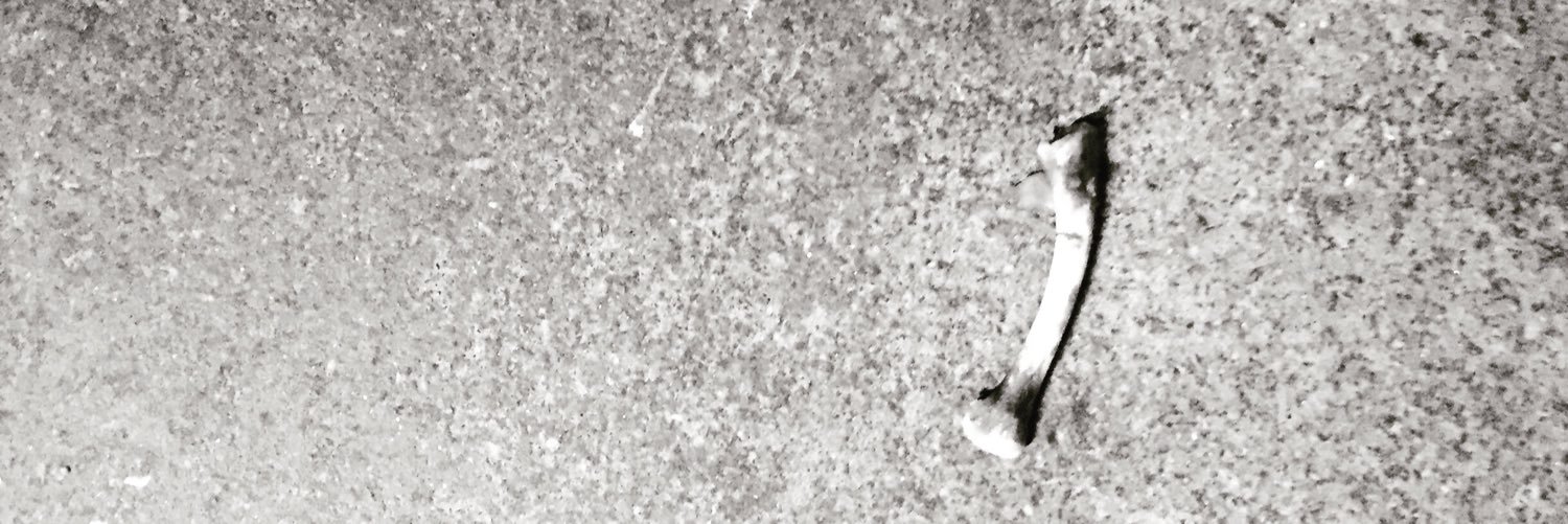 S A W C Y C L E banner