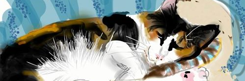 katie_9999's profile banner image