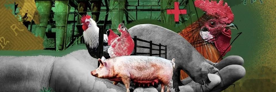 Andrew deCoriolis banner