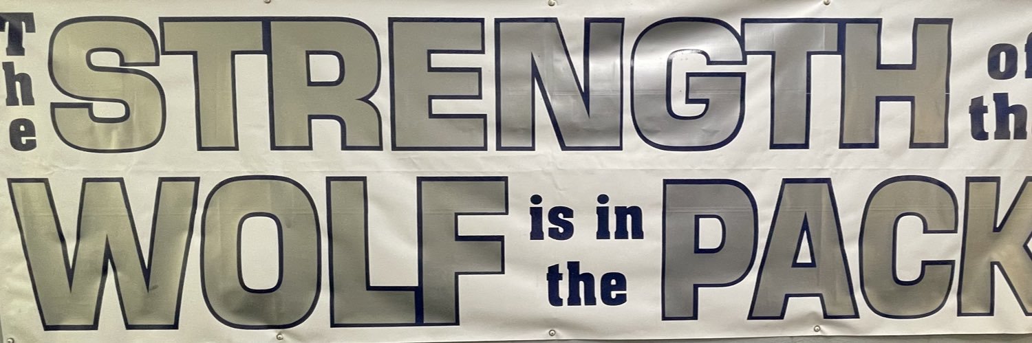 Anthony Sansone banner