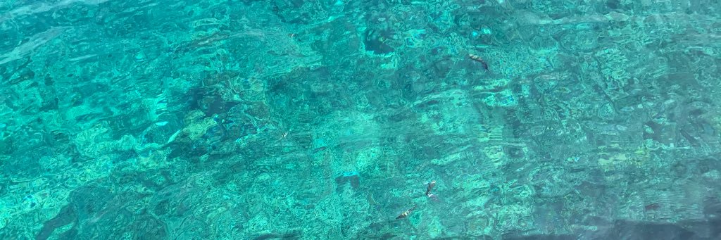 ytaniwaki's profile banner image