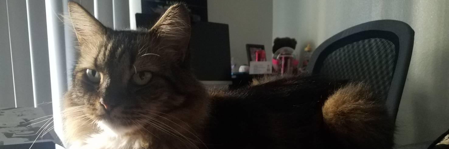 snugglefuzz's profile banner image