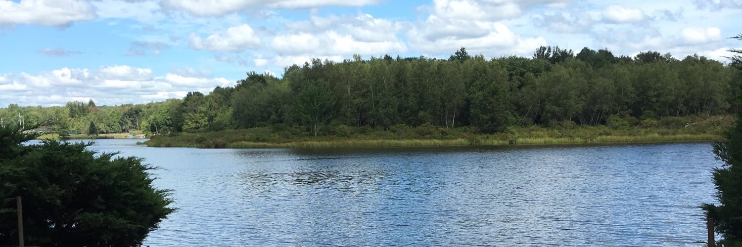 Kristin Hokanson banner