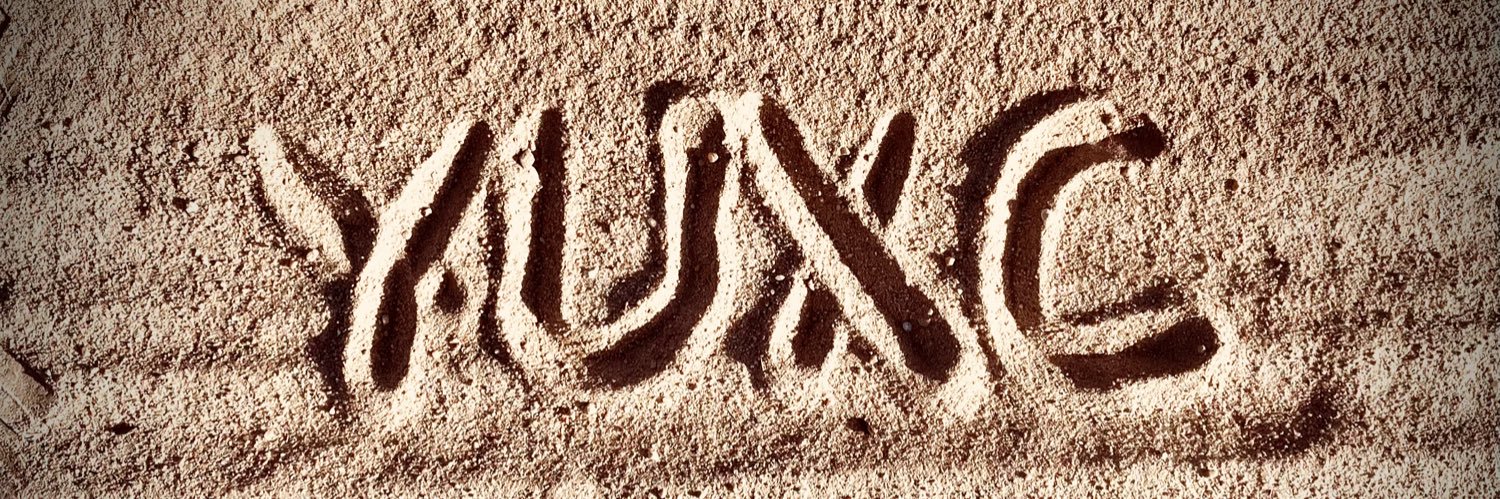 York University TF and XC banner