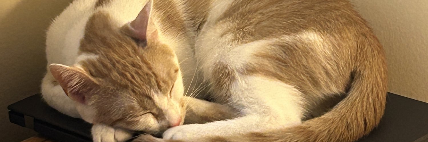 MaximumKatz's profile banner image