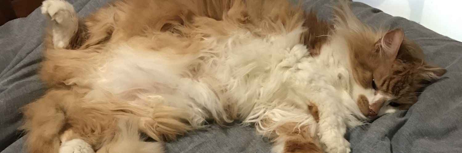 JaneMitch71's profile banner image
