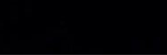 martin. banner