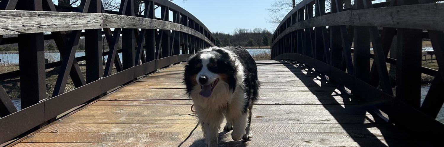 Andrew Prüetz banner