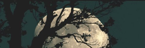 Abbie_GREY's profile banner image