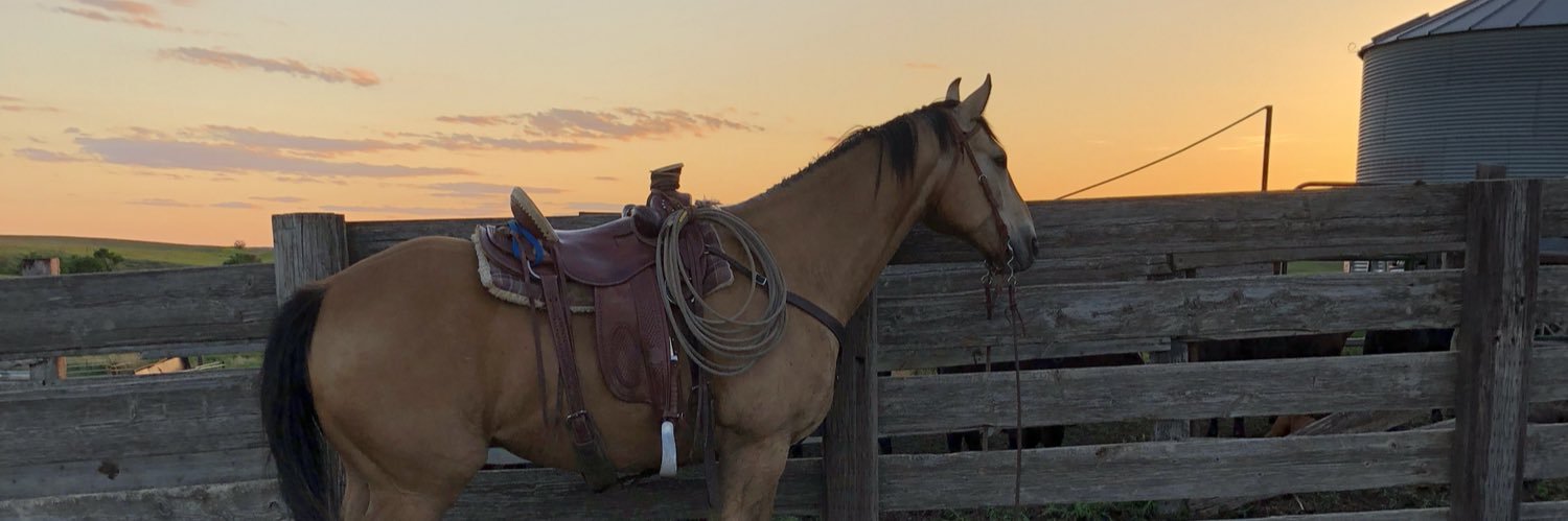 ChristeanHolen's profile banner image