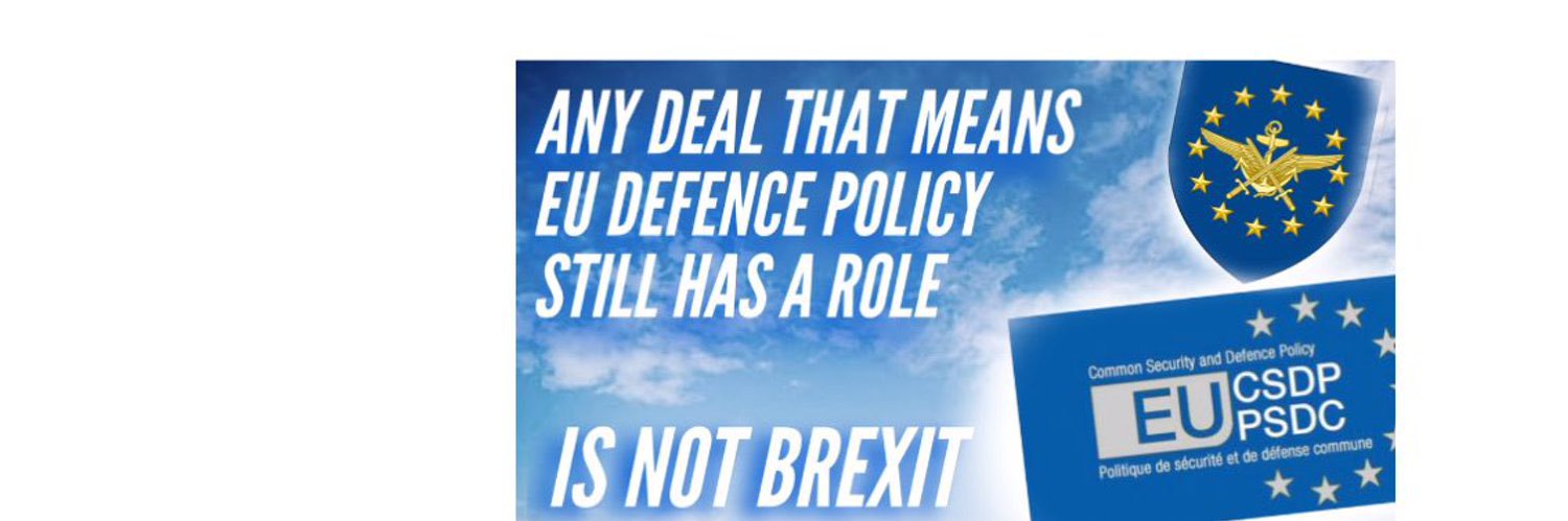 Veterans for Britain's banner