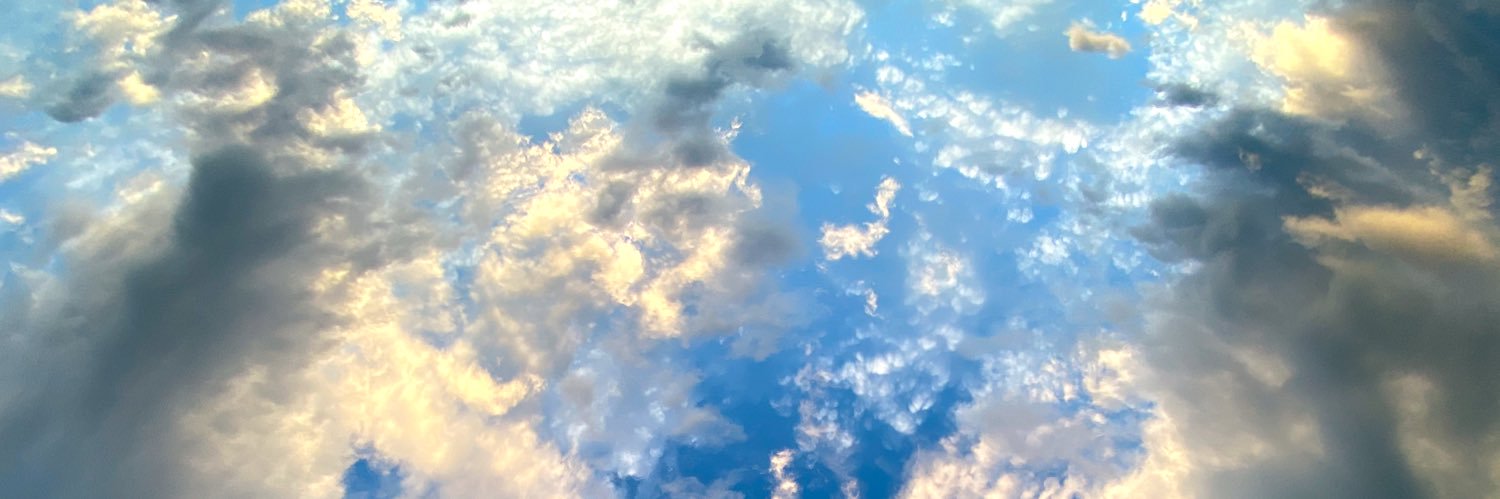 ぱしもん banner