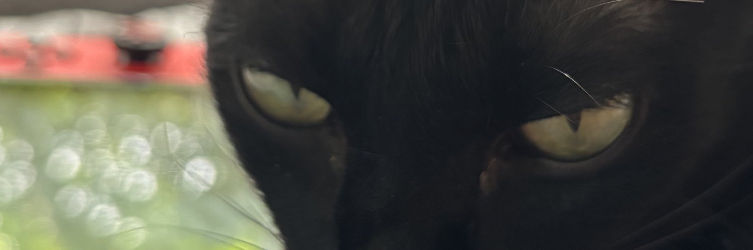 hoongchu's profile banner image