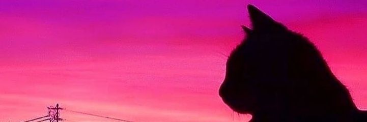 Lemonlimezzz's profile banner image