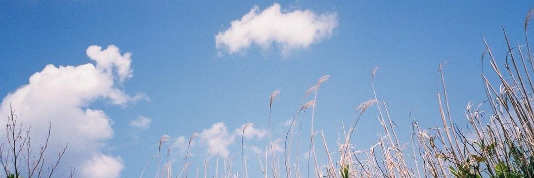 Dhiens_'s profile banner image