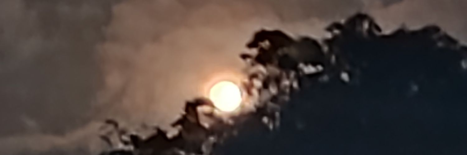 dary_lud's profile banner image