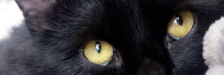 brimcgahey's profile banner image