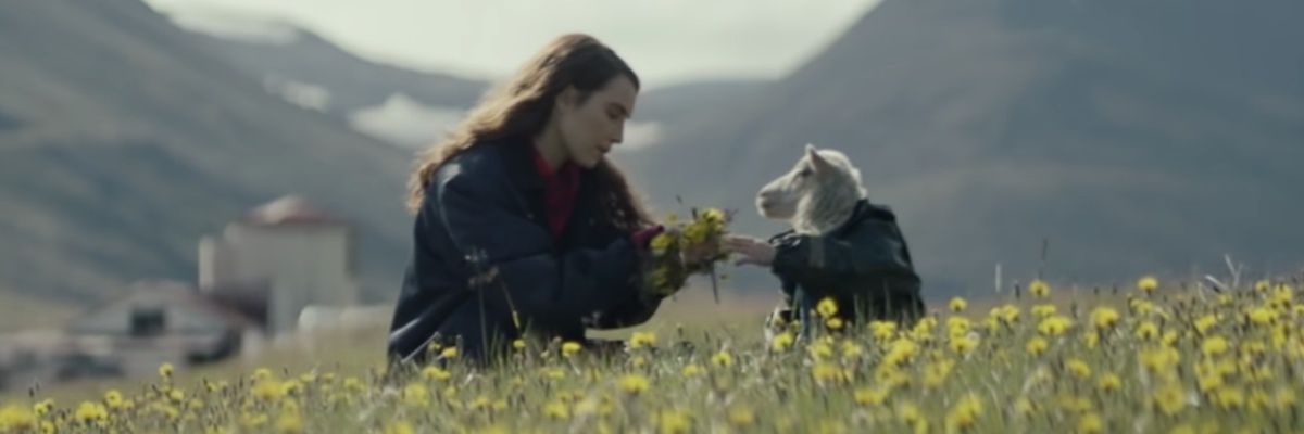 ZoraCrematora's profile banner image