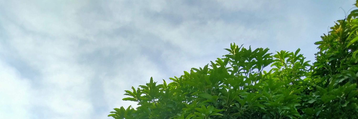 Suci_Ly's profile banner image