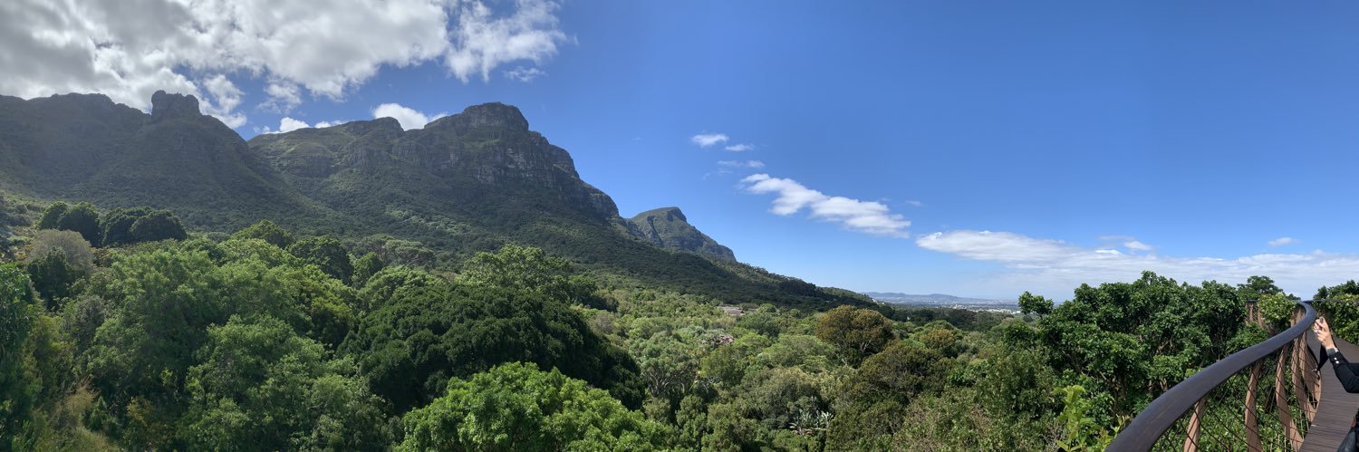 J-P du Plessis banner