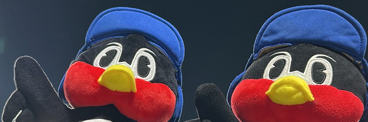 swlws23's profile banner image