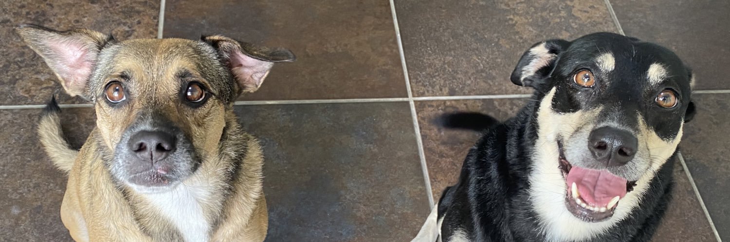 RabellMarie's profile banner image