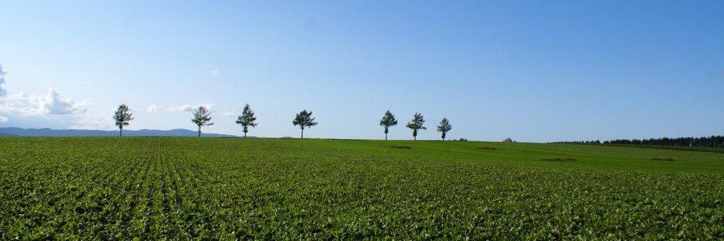 shellmound0903's profile banner image