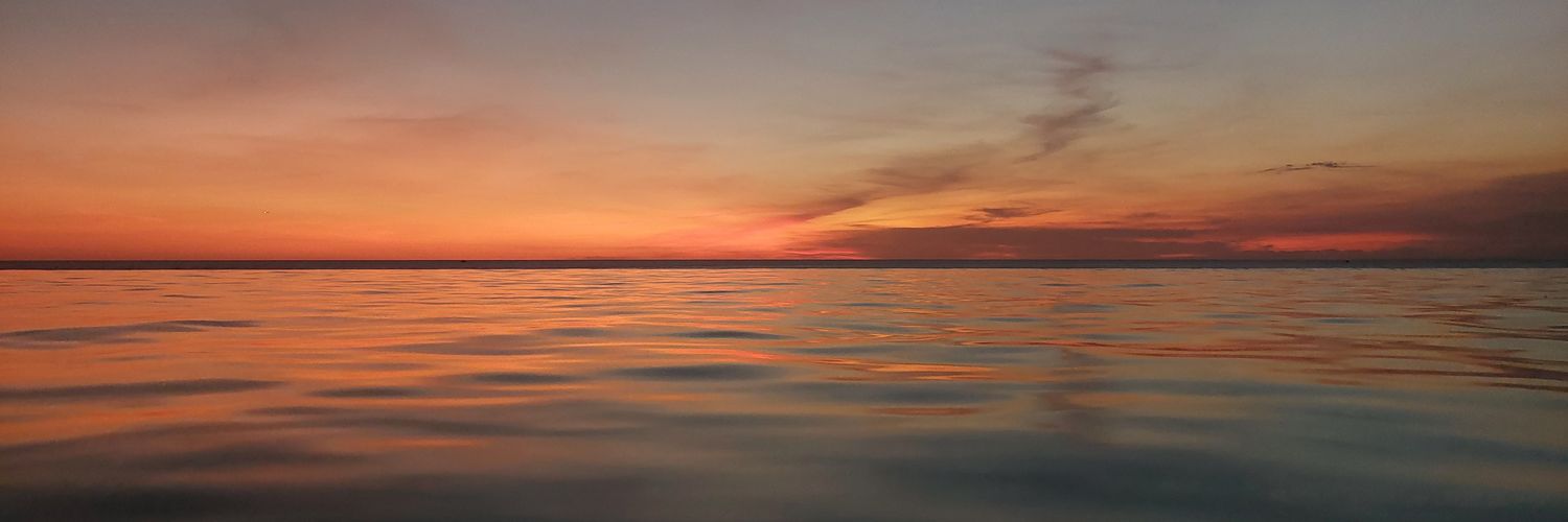 Ryan Rheinadi Siregar banner