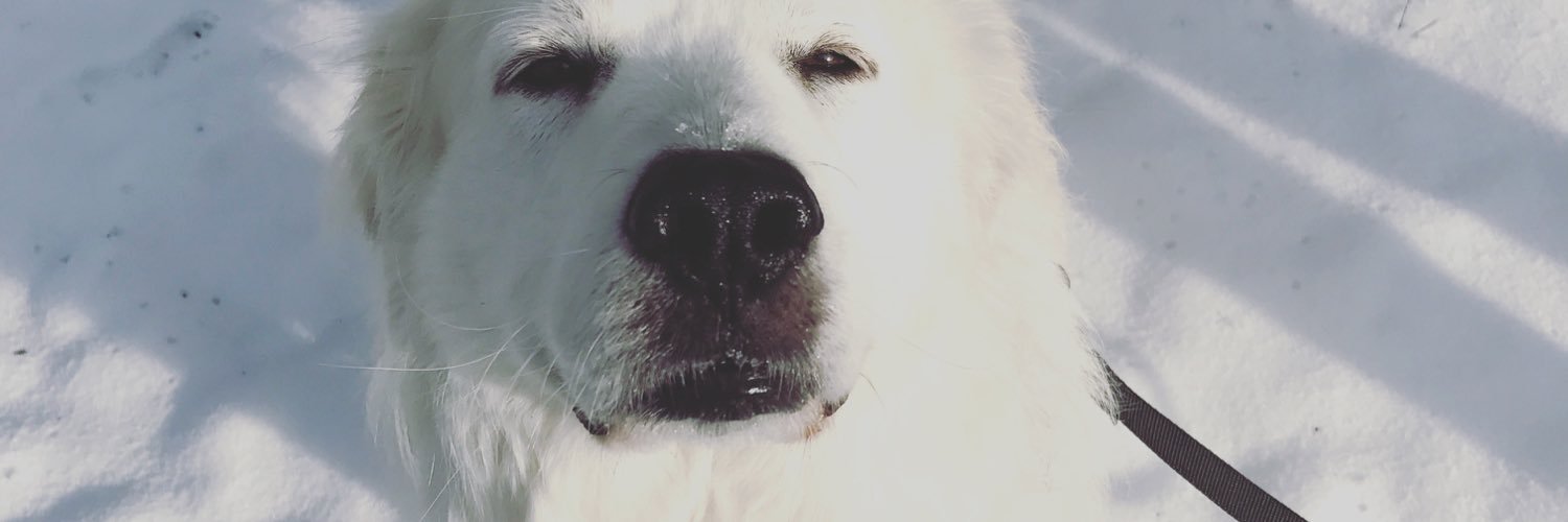 CayWil's profile banner image