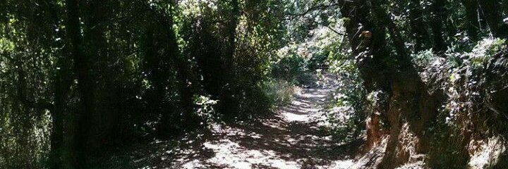 Samuel Leal García banner