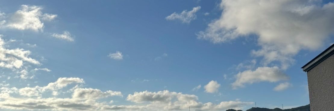 柳如意 banner