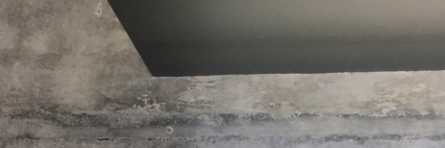 amapu11's profile banner image