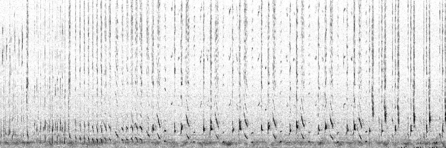 Saskia Cathrin Tyarks (Martin) banner