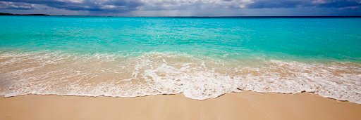 Nothing For Free banner