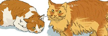 memtan's profile banner image