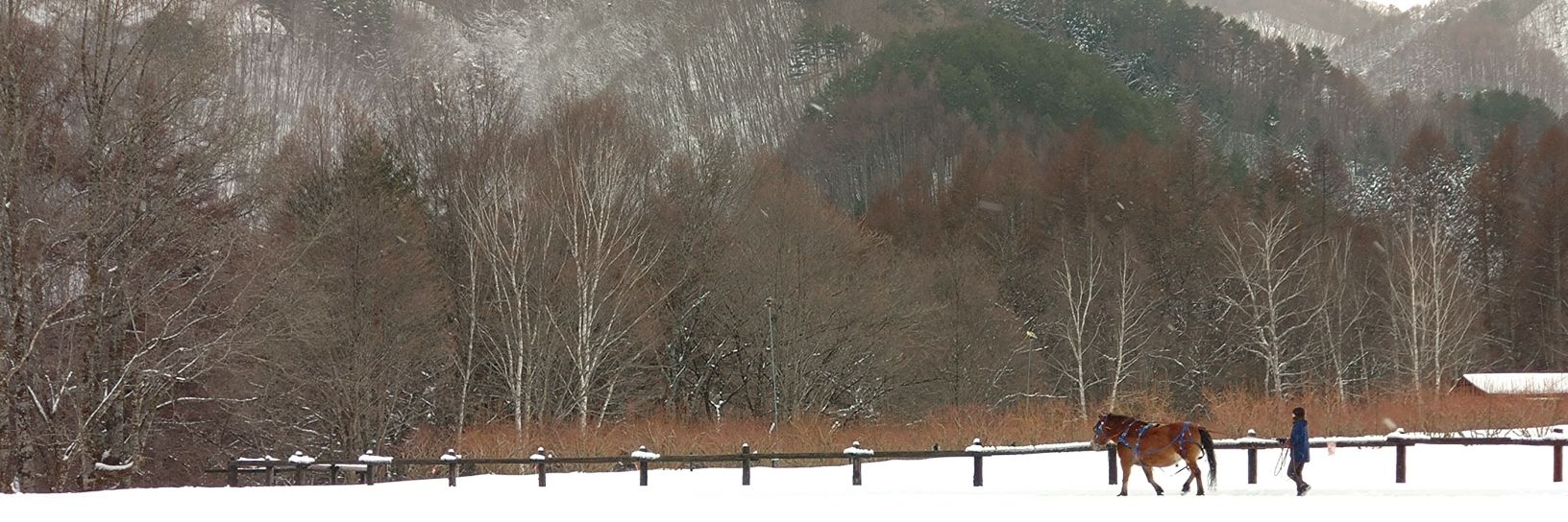 mountaapple0804's profile banner image