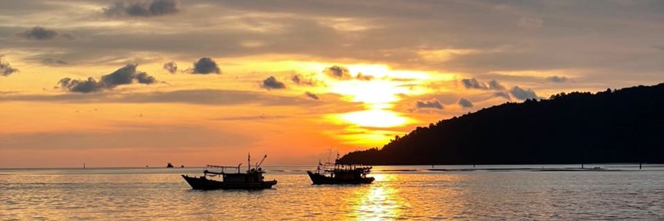 🇲🇾Aliah Husna banner