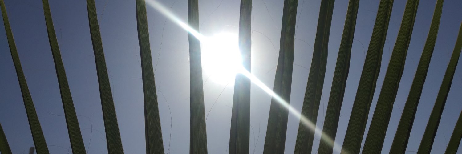 monimomoon67's profile banner image