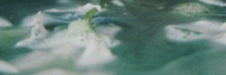BBYUI0326's profile banner image