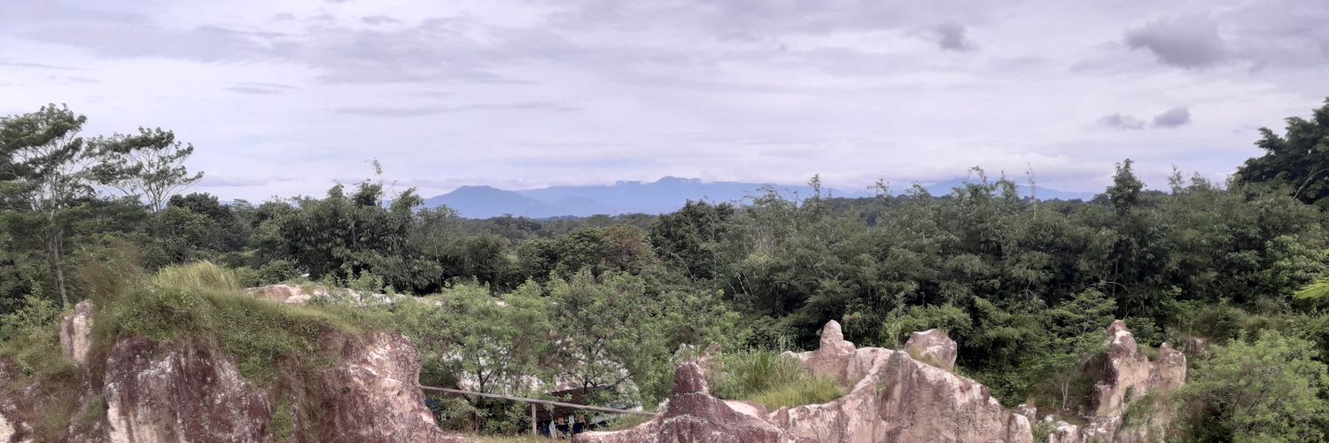 sriwnrt's profile banner image
