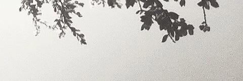 syifaanis's profile banner image