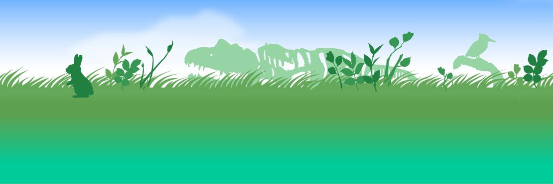 deztec banner