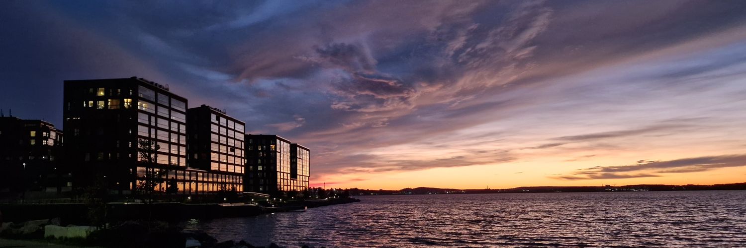 Sari Mäkelä banner